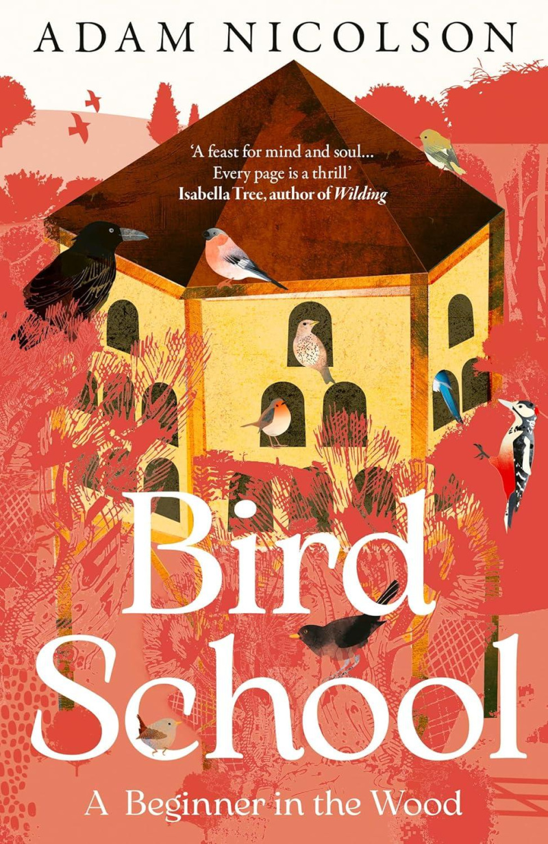Bird School: A Beginner in the Wood